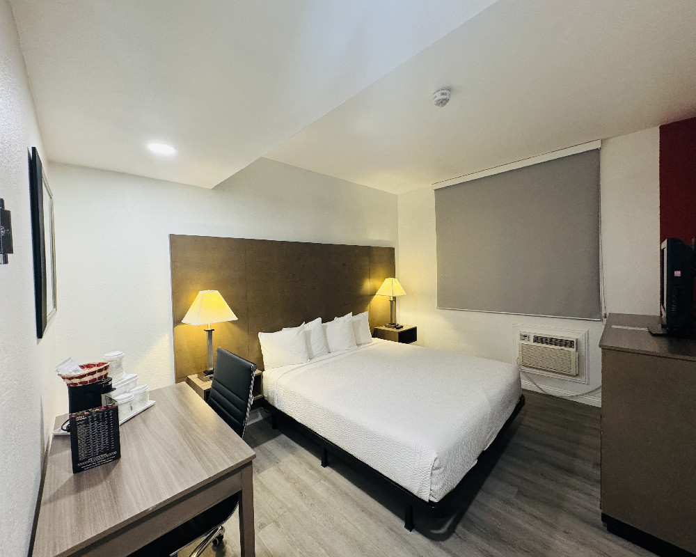 1 King Bed Non-Smoking - Accessible Room