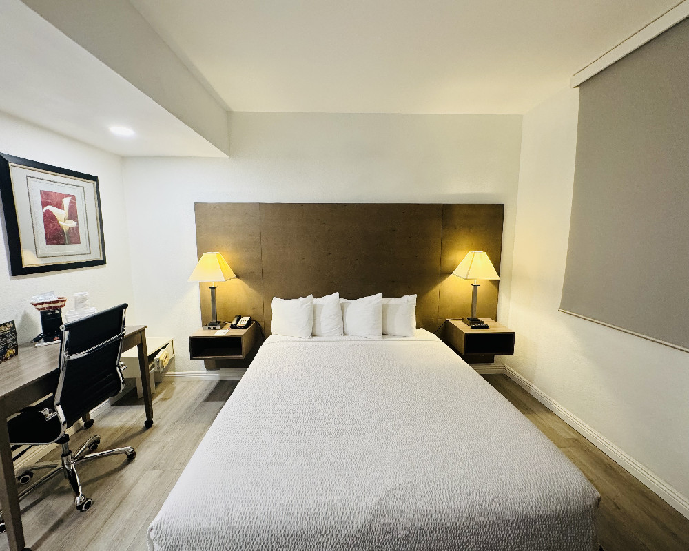 1 King Bed Non-Smoking - Accessible Room